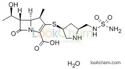 364622-82-2  C15H26N4O7S2  Doripenem hydrate