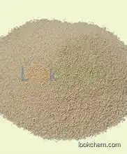 Animal additive lysine hcl made in China good price(56-87-1)
