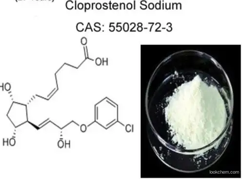 Best quality (+)-Cloprostenol Sodium 99% powder CAS 55028-72-3