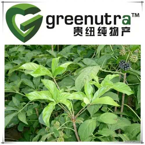 Siberian Ginseng Extract for Nutritional Supplemen(7374-79-0)