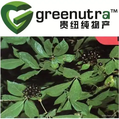 Siberian ginseng extract acanthopanax senticosus extract