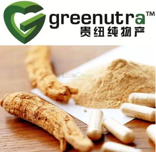 GMP Certified korean ginseng capsule