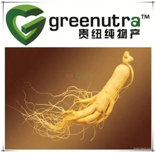 panax ginseng extract ginseng  ginsenoside