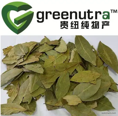 Cassia Aangustifolia extract