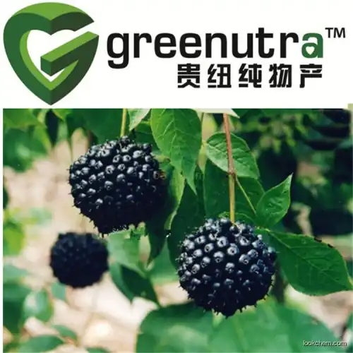 Top quality Siberian ginseng extract 7374-79-0 in mass stock