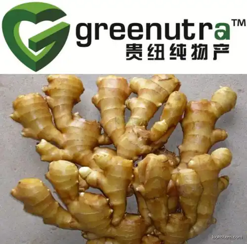 Bulk supply qualified Ginger extract 84696-15-1