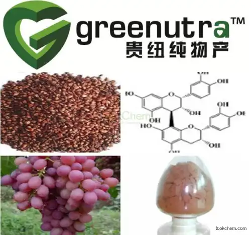 Supply Hot sale Grape seed extract   in China