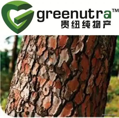 High quality pine bark powdered extract