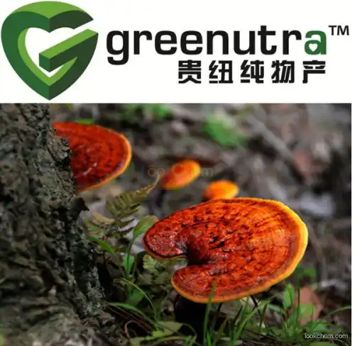 reishi mushroom extract Ganoderma Lucidum P.E.