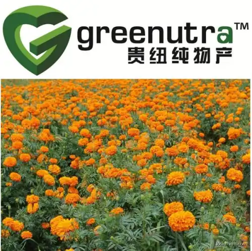Inulin 127-40-2 manufacturers with stable offering ability