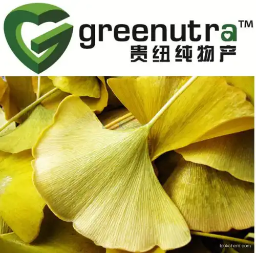 Gingko Biloba Extract