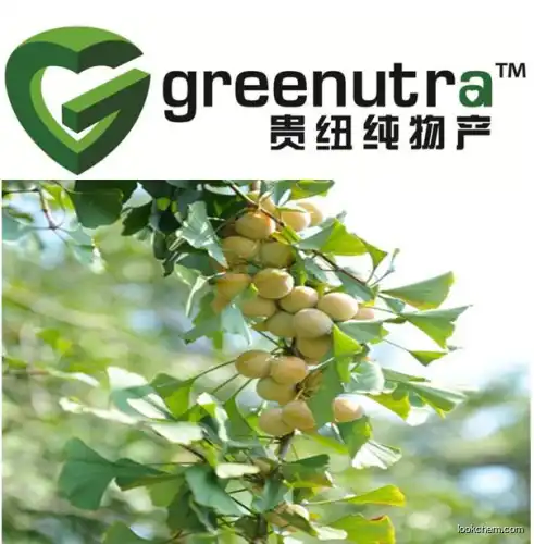 Gingko Biloba Extract