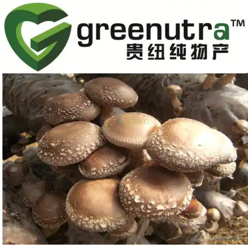 Shiitake Mushroom Extract