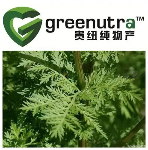 high quality Artemisia annua Extract,hot sell Artemisia annua Extract,GMPManufacturer Artemisia annua Extract
