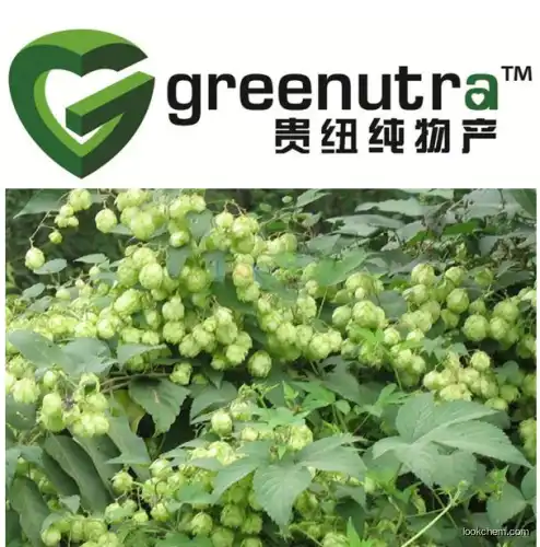 Humulone Extract Powder