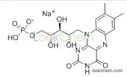 CAS:130-40-5 C17H20N4NaO9P Riboflavin-5-phosphate sodium