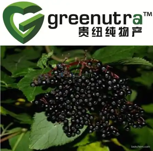 Elder Flower Extract