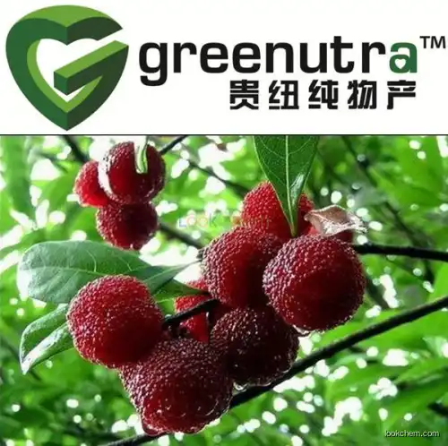 high quality bayberry extract,hot sell bayberry extract,GMPManufacturer bayberry extract