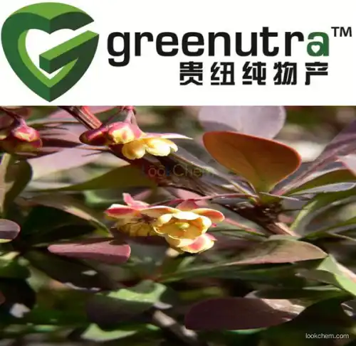 Berberis Vulgaris Extract