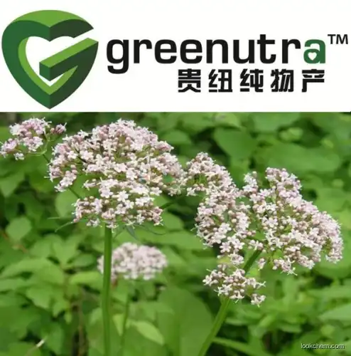 Pure valerian root extract