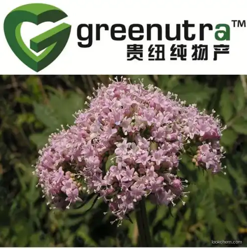 Perfect quality Valerian extract 8057-49-6 in mass stock