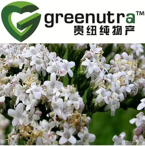 buying   Valerian extract  8057-49-6  Manufacturer