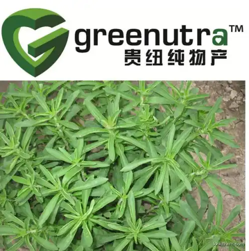 Stevia Extract Stevioside:80% ,90%,92%,95% by HPLC