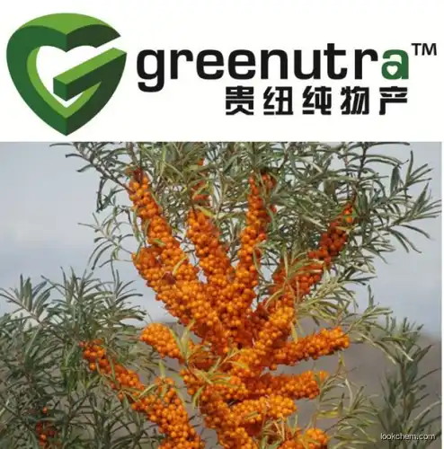 Seabuckthorn Juice Powder