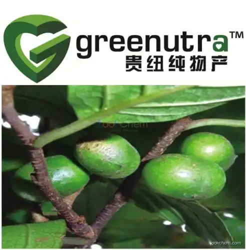 Pygeum Africanum Bark Extract