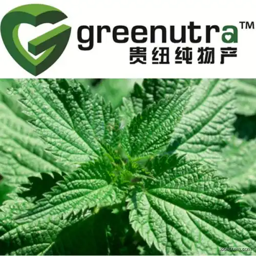 Nettle extract price