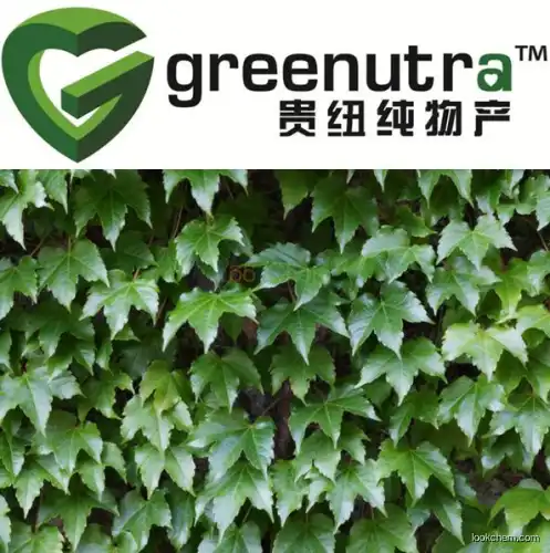 buying high purity Hedera helix extract 465-99-6