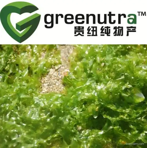 seaweed extract for plants