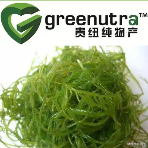 Seaweed Extract