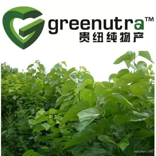 High quality Mulberry leaf extract 19130-96-2 on hot selling