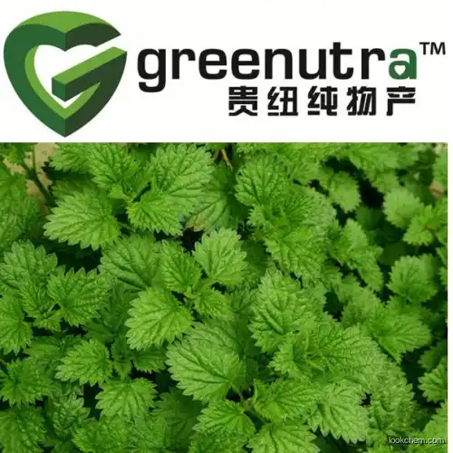 Wild Mint Herb Extract