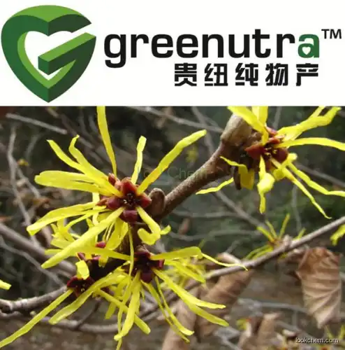 Hamamelis Extract