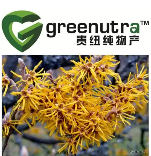 Hamamelis Extract