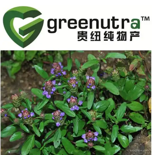 Common Selfheal Spike Extract/Common Selfheal Extract/Isodonis Japonicus Extract