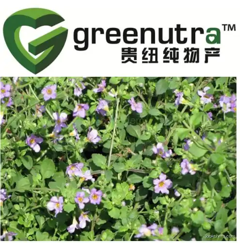 Bacopa Monniera Extractpowder