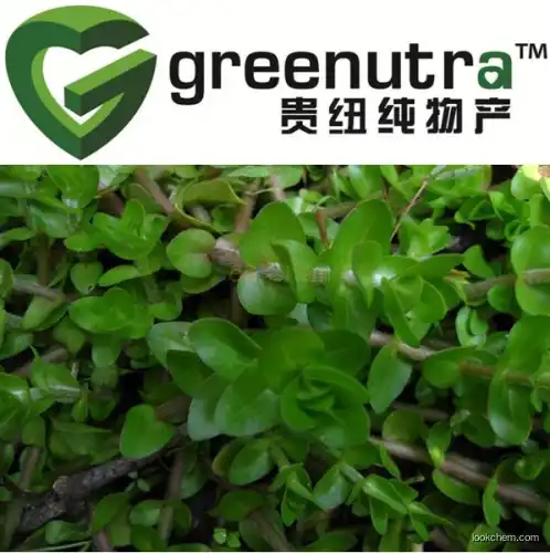 Bacopa Monniera Extractpowder