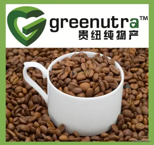 GMP manufacturer 100% pure cocoa extract theobromine