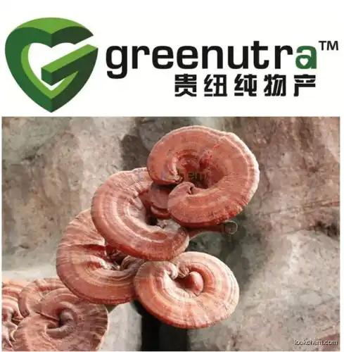 Reishi shell-broken spore powder