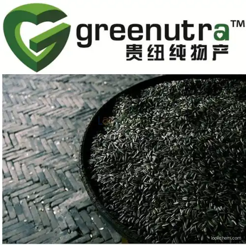 Pure Sesamum indicum Extract,GMP Manufacturer supply Sesamum indicum Extract,Dried Sesamum indicum Extract