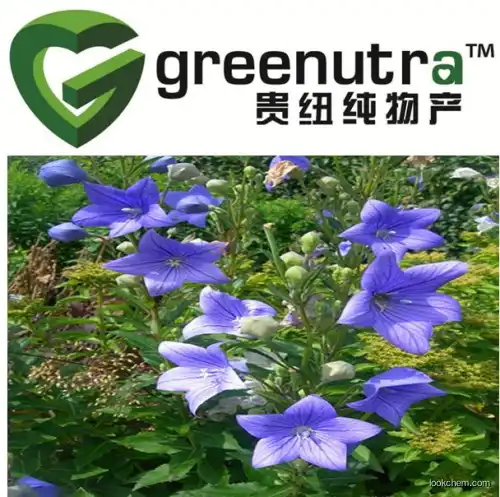 Balloonflower Extract Powder