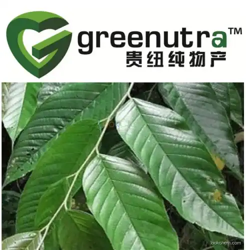 Pygeum Africanum Extract Powder