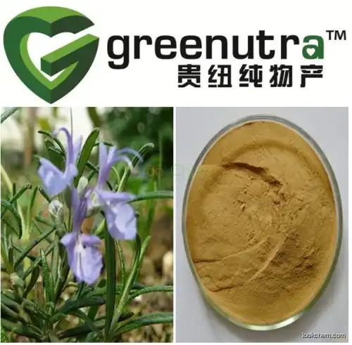GMP High quanlity rosemary extract powder