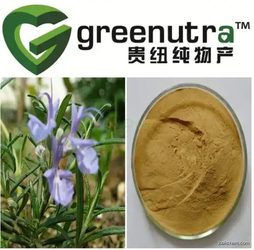 GMP High quanlity natural rosemary extract