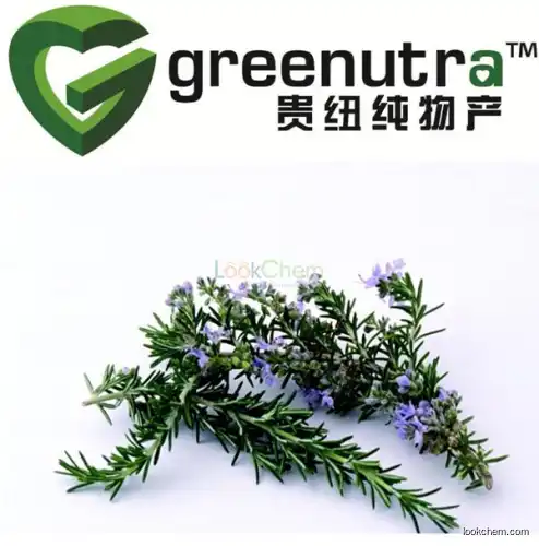 rosemary oleoresin extract Ursolic Acid