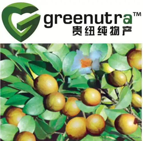 Oiltea Camellia extract powder