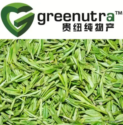 Green Tea extract